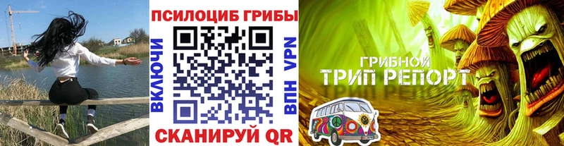продажа наркотиков Заволжск сайты даркнета клад Галлюциногенные грибы мухоморы
